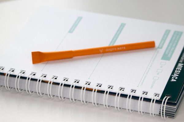 Notes dla aktywnych psów i ich właścicieli | 6 miesięcy - obrazek 4