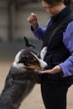 Kamizelka TRENINGOWA SUMMER PRO | UNISEX - obrazek 6