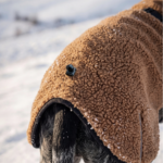 MOFF. merino NOMAD - obrazek 3