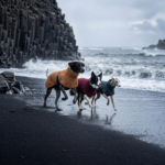 MOFF. merino NOMAD - obrazek 4