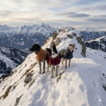 MOFF. merino NOMAD - obrazek 5